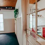 Drei Linden Gutshaus * Wolfenbüttel