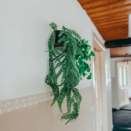 Drei Linden Gutshaus * Βολφενμπούτελ